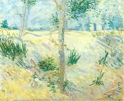 Vincent Van Gogh Trees on a slope Sweden oil painting artist